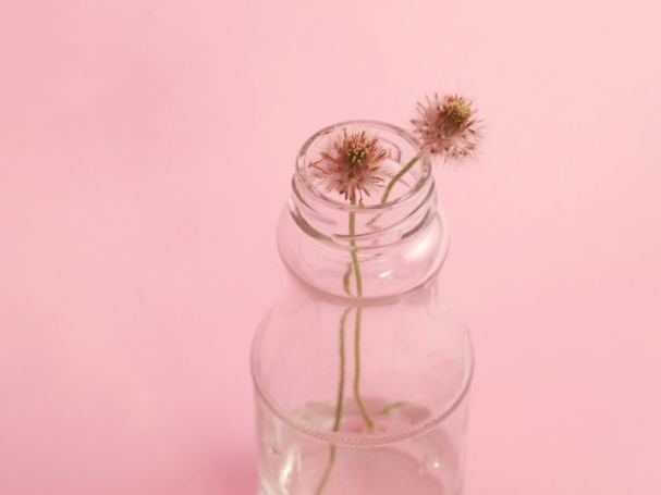 photo-1429679310900-bad303d0e63a-1@2x